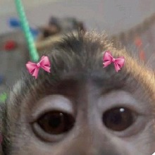 Guest_ss764290