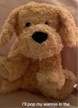 Guest_Lucy303