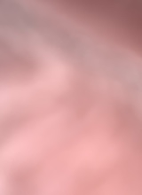 Guest_myaa682440
