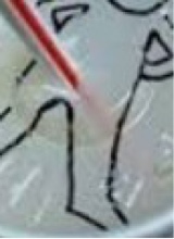 Coke69