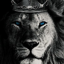 Foto de Avatar