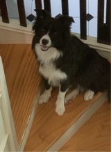 Guest_sirhugsalot