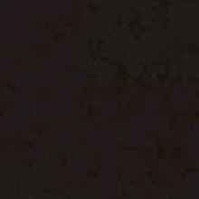 Guest_larissaf022