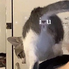 Guest_yourpov