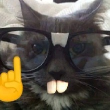 Guest_zninJal