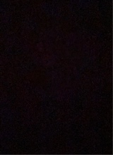 Guest_Tey333
