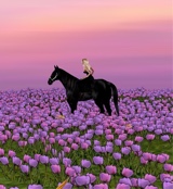 Guest_Ella88547