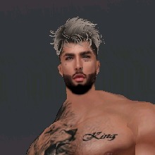 JohanML