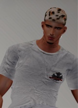 alex966511