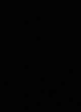 avatarbild