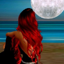 Guest_becky952713