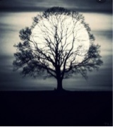 Guest_RelleT2