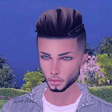 Guest_TorsteinVolkerson