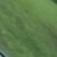 Guest_Dayla627492