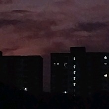 Guest_Milenna428715