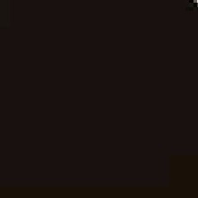 Guest_Haarpeer4