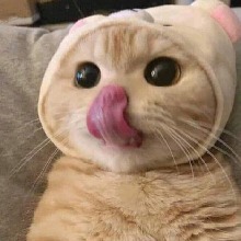 Guest_NiQsi