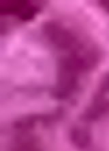 Guest_LxX14