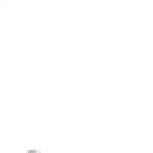 Guest_manateecooleb5c