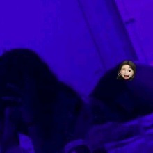 Guest_Ema185621