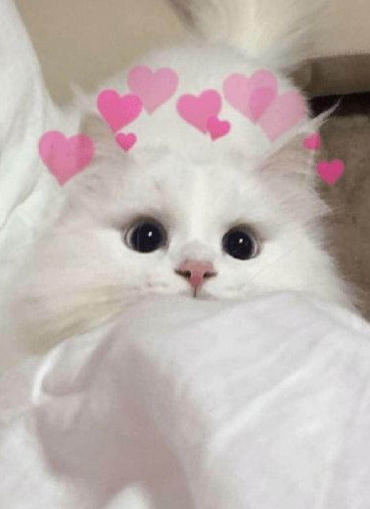 Guest_Ethereal0