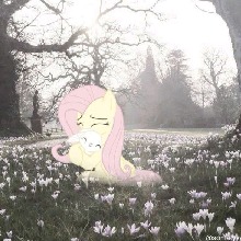 Guest_yuridemon
