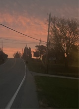 Guest_OliviaTyler2
