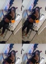 Guest_yasmine921792