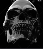 Guest_YRNtray263245