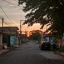 avpic