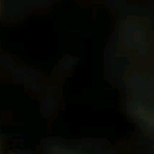 Guest_anonimo99