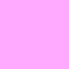 Guest_Sami137937