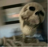 Guest_JasonUwU2
