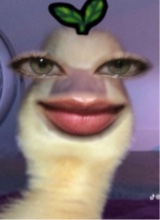 Guest_AlmaIbarra1
