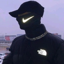 DZ1S