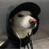 Guest_httsmike