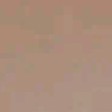Guest_DAILY942018