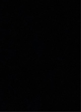 Guest_camg89
