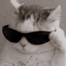Guest_tigermonkey1