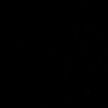 Guest_QJ195374