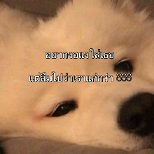 Guest_E4R7H