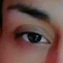 Guest_Carlos7895