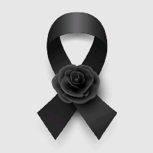 immagine avatar