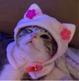 Guest_XWeirdxBunnyX