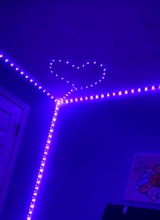 Guest_sageluvvsuu