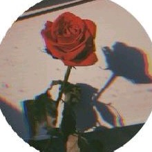 Guest_Httpslaury