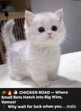Guest_diabinhoooS