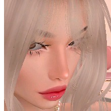 Guest_Amy510638