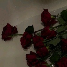 Guest_inchwormchamoiseb355