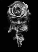 Guest_Rosie931894